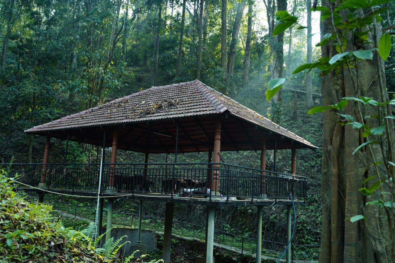 STAYMAKER Qexperiences Coorg Madikeri Buitenkant foto
